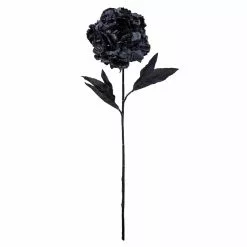New ⌛ 12 Pack: Black Peony Stem by Ashland® ????