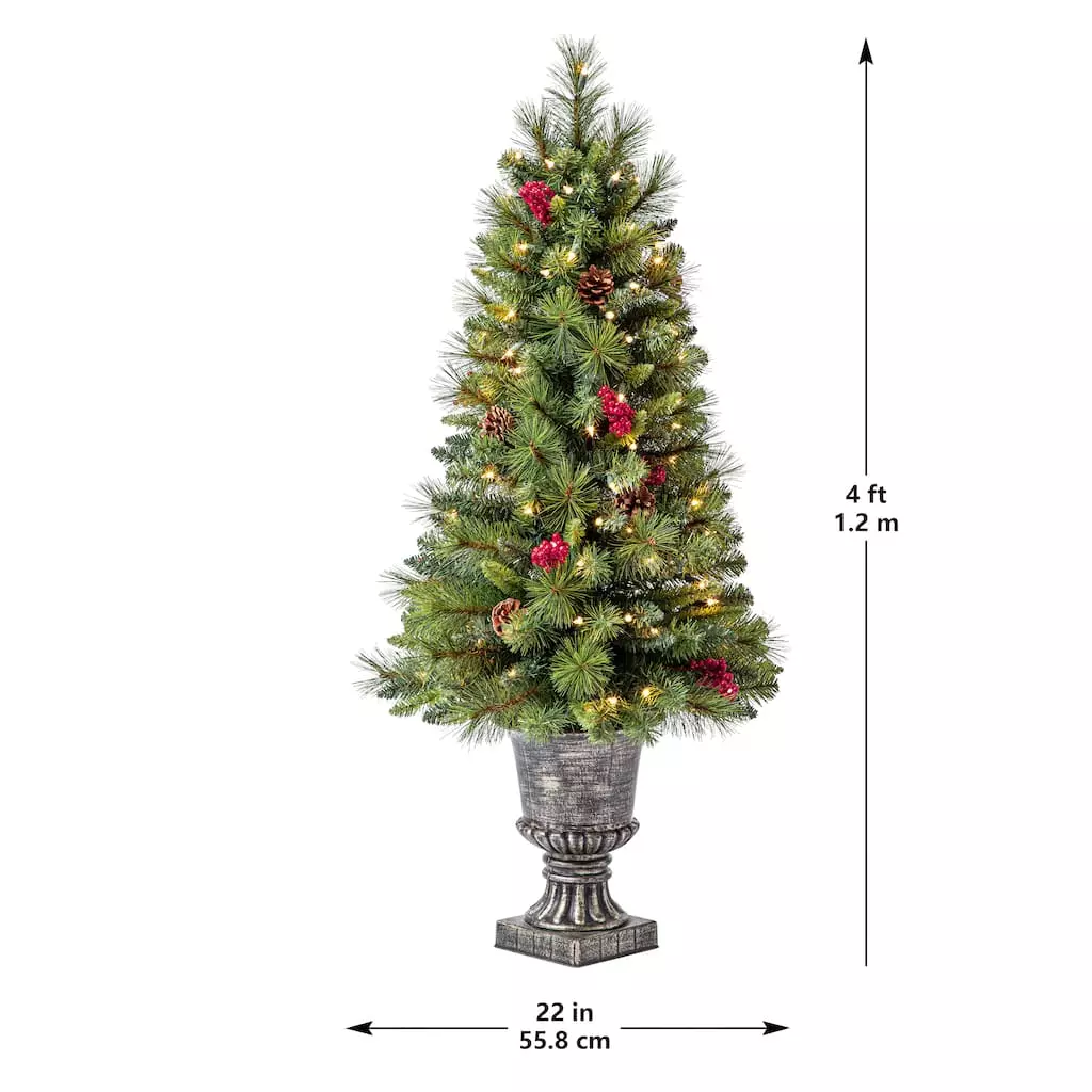 Discount ???? 4ft. Pre-Lit Verona Artificial ???? Christmas Tree, Clear Lights by Ashland® ???? 8 Discount ???? 4ft. Pre-Lit Verona Artificial ???? Christmas Tree, Clear Lights by Ashland® ???? - Image 6