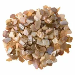 Flash Sale ???? Natural Crushed Shells By Ashland™ ????