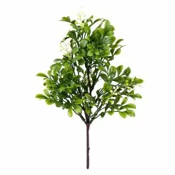 Coupon ???? 24 Pack: Green Boxwood Pick by Ashland® ????