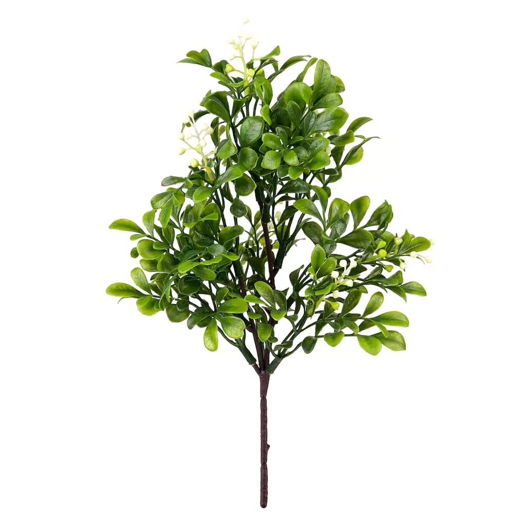 Coupon ???? 24 Pack: Green Boxwood Pick by Ashland® ???? 3 Coupon ???? 24 Pack: Green Boxwood Pick by Ashland® ????