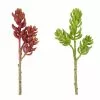 Flash Sale ???? 24 Pack: Assorted 3 Head Succulent Pick by Ashland® ???? -Ashland Sales 10546921 1 u