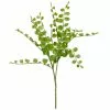 Coupon ???? Assorted Fern Pick By Ashland® ????