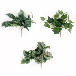 Best reviews of ???? Assorted Ivy Leaf Pick By Ashland™ ????