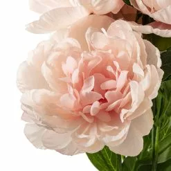New ???? Coral Peony Bush by Ashland® ???? -Ashland Sales 10547347 20