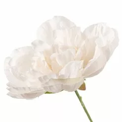 Best Sale ⭐ Cream Peony Bush by Ashland® ???? -Ashland Sales 10547348 20