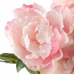 Wholesale ???? Pink Peony Bush by Ashland® ???? -Ashland Sales 10547349 20