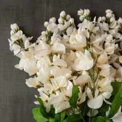 Wholesale ???? Cream Wisteria Bush by Ashland® ???? -Ashland Sales 10547398 25