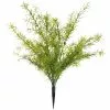 Buy ???? Springeri Bush by Ashland® ???? -Ashland Sales 10547458 1