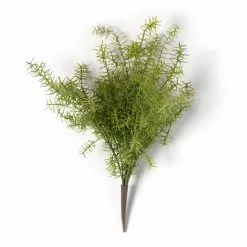 Buy ???? Springeri Bush by Ashland® ???? -Ashland Sales 10547458 21