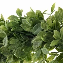 Top 10 ❤️ 20" Plastic Foliage Wreath by Ashland® ✔️ -Ashland Sales 10547486 20