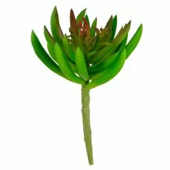 Promo ???? Assorted Succulent Pick By Ashland® ???? -Ashland Sales 10547488 3