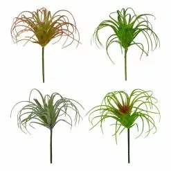Cheap ✨ Assorted Tillandsia Pick By Ashland® ????
