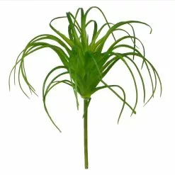 Outlet ???? 24 Pack: Assorted Tillandsia Pick by Ashland® ???? 7 Outlet ???? 24 Pack: Assorted Tillandsia Pick by Ashland® ???? -Ashland Sales 10547489 2 1