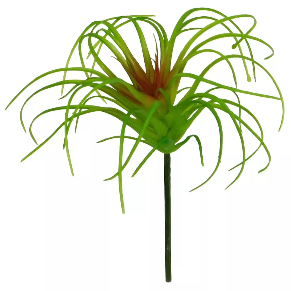 Outlet ???? 24 Pack: Assorted Tillandsia Pick by Ashland® ???? 5 Outlet ???? 24 Pack: Assorted Tillandsia Pick by Ashland® ???? - Image 3