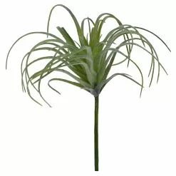 Cheap ✨ Assorted Tillandsia Pick By Ashland® ???? -Ashland Sales 10547489 4