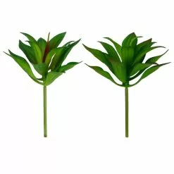 Deals ???? 12 Pack: Assorted Agave Pick by Ashland® ????