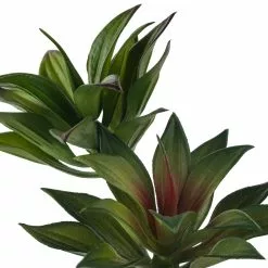 Coupon ???? Assorted Agave Pick By Ashland® ???? -Ashland Sales 10547490 20