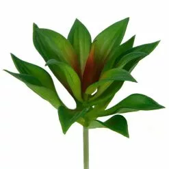 Deals ???? 12 Pack: Assorted Agave Pick by Ashland® ???? -Ashland Sales 10547490 4