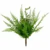 Cheapest ???? 8 Pack: Green Boston Fern Bush by Ashland® ???? -Ashland Sales 10547493