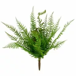 Budget ???? Boston Fern Bush by Ashland® ????