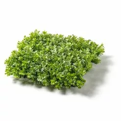Promo ???? Large Boxwood Mat by Ashland® ???? -Ashland Sales 10547533 21