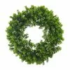 Flash Sale ???? 22" Boxwood Wreath by Ashland® ???? -Ashland Sales 10547547 1
