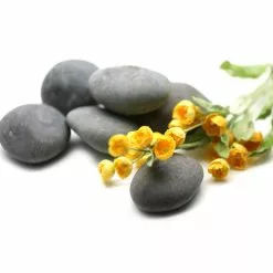 Cheap ???? 16 Pack: Large Washed Black Stones by Ashland™ ✨ -Ashland Sales 10552993 3 1