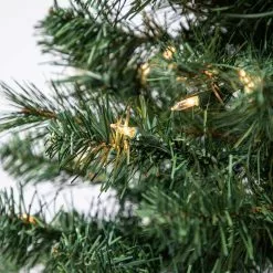 Best Pirce ???? 4ft. Pre-Lit Riverside Pine Artificial ???? Christmas Tree, Clear Lights by Ashland® ???? -Ashland Sales 10555064 12