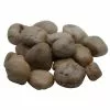 Coupon ???? 16 Pack: Brown River Rocks by Ashland® ???? 2 Coupon ???? 16 Pack: Brown River Rocks by Ashland® ???? -Ashland Sales 10556692 3 1