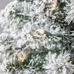 Best reviews of ✔️ 4ft. Pre-Lit Cypress Artificial ???? Christmas Tree, Clear Lights by Ashland® ???? -Ashland Sales 10599014 11