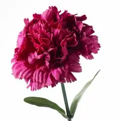 Best reviews of ???? Hot Pink Carnation Stem by Ashland® ???? -Ashland Sales 10626417 20