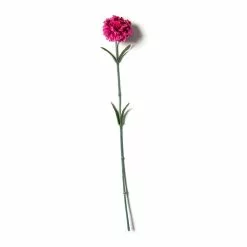Best reviews of ???? Hot Pink Carnation Stem by Ashland® ????