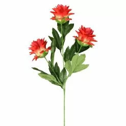 Hot Sale ???? 12 Pack: Red Hops Stem by Ashland® ????