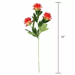 Best reviews of ❤️ Red Hops Stem by Ashland® ???? -Ashland Sales 10626421 3