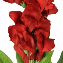 Cheap ???? 12 Pack: Red Snapdragon Spray by Ashland® ⭐ 9 Cheap ???? 12 Pack: Red Snapdragon Spray by Ashland® ⭐ -Ashland Sales 10626425 2