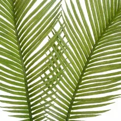 New ???? Green Sago Palm Stem by Ashland® ???? -Ashland Sales 10626443 2
