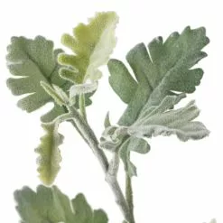 Best reviews of ???? Frosted Dusty Miller Spray Stem by Ashland® ???? -Ashland Sales 10626451 20