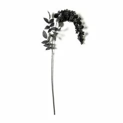 Best deal ???? Black Wisteria Stem by Ashland® ????