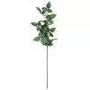 Top 10 ???? 12 Pack: Rose Leaf Stem by Ashland® ???? -Ashland Sales 10626471 1