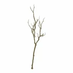 Discount ???? 8 Pack: Brown Bare Birch Branch by Ashland® ????