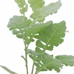 Ashland Sales -Ashland Sales 10626483 2