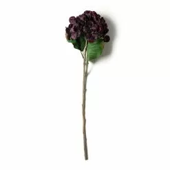 Best reviews of ???? Black & Purple Hydrangea Stem by Ashland® ????