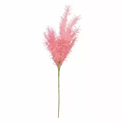Best deal ???? 6 Pack: Peach Pampas Grass Stem by Ashland® ????