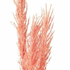 Promo ✨ Peach Pampas Grass Stem by Ashland® ???? -Ashland Sales 10626520 20