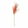 Promo ✨ Peach Pampas Grass Stem by Ashland® ???? -Ashland Sales 10626520 21