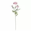 Best reviews of ???? Pink Buttercup Spray Stem by Ashland® ????
