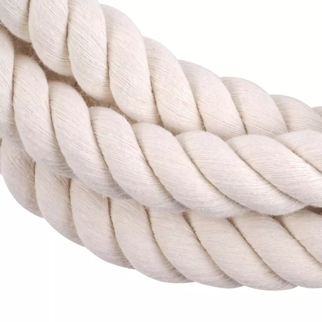 Outlet ???? 12 Pack: 7ft. Ivory Rope by Ashland® ???? 5 Outlet ???? 12 Pack: 7ft. Ivory Rope by Ashland® ???? - Image 3