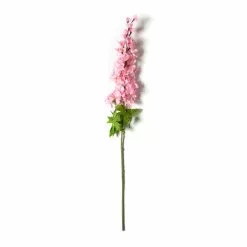 Top 10 ???? Pink Larkspur Stem by Ashland® ????
