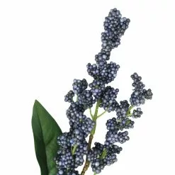 Best reviews of ???? 12 Pack: Blue Berry Spray by Ashland® ???? -Ashland Sales 10626572 2